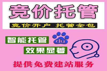 竞价SEM托管服务在行业中的应用案例